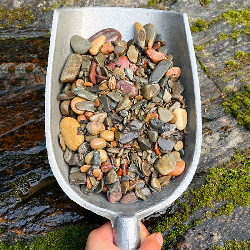Planted Aquarium With Sand - 500 جرام خزان الأسماك أسفل حجر