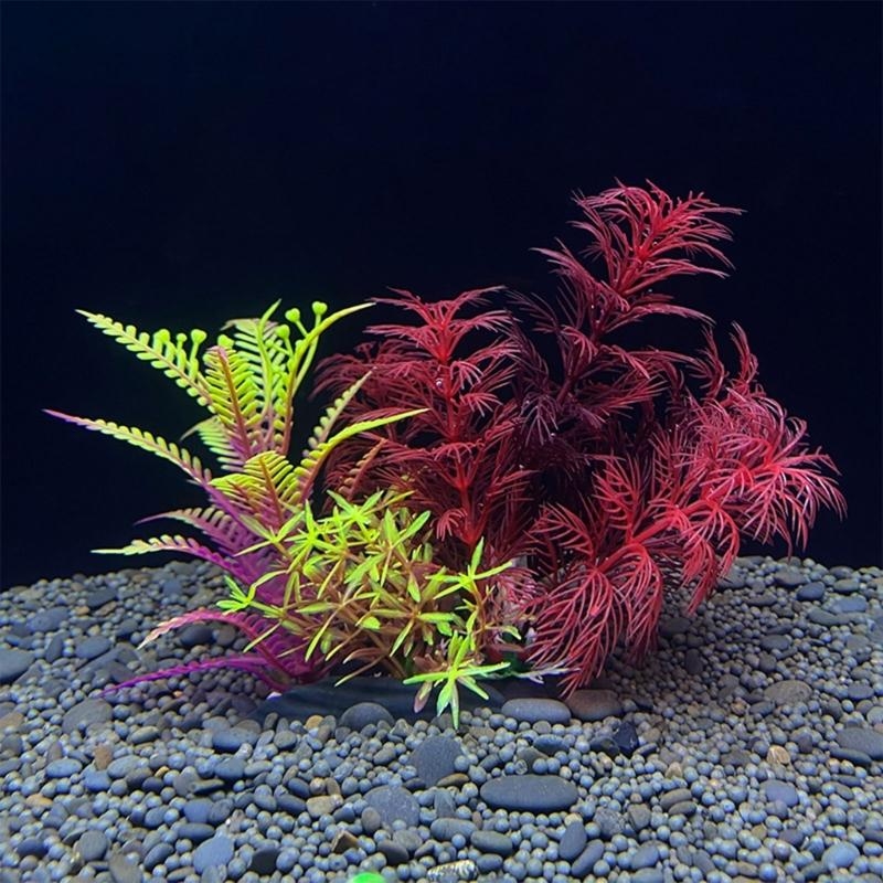 Planted Aquarium For Sale - حوض السمك الاصطناعي الديكور نبات الأسماك