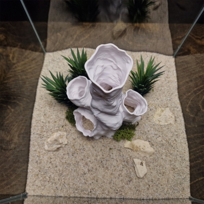 Planted Aquarium For Sale - عرض ساخن: نفق مرجاني ثلاثي الأبعاد