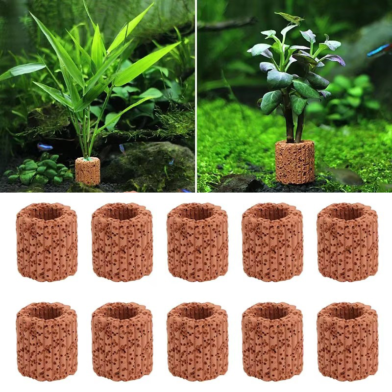 Planted Aquarium Products - حلقة ثابتة للنباتات المائية لحوض السمك