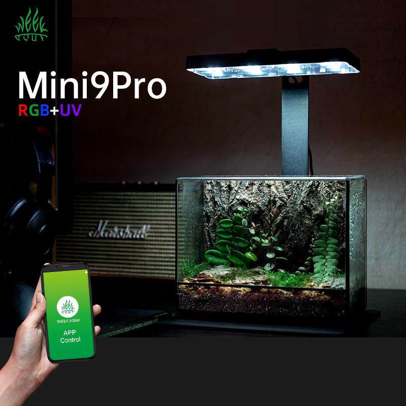 Planted Aquarium For Sale - مصباح نانو تيراريوم ميني 9 برو