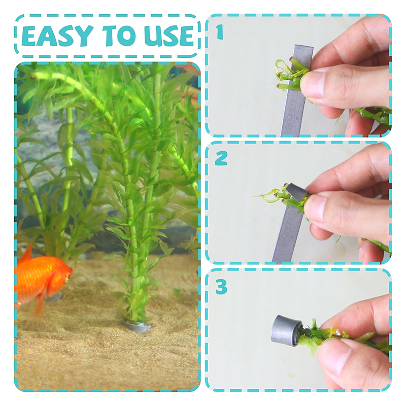 Planted Aquarium For Sale - عرض جديد: 10 قطع من أوزان