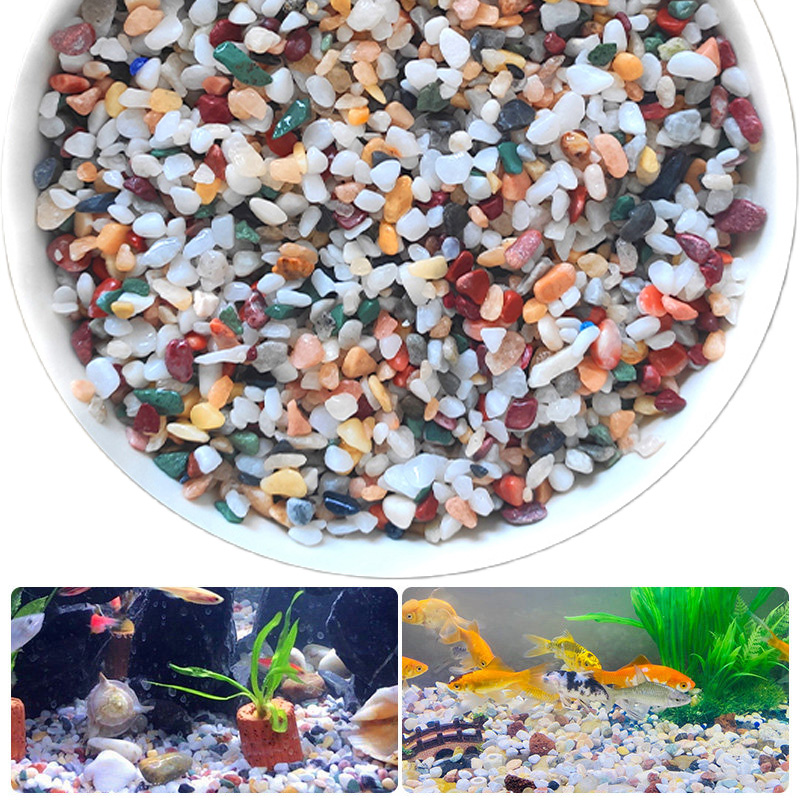 Planted Aquarium With Sand - حصى طبيعي 200~1000 جرام لتزيين الحدائق
