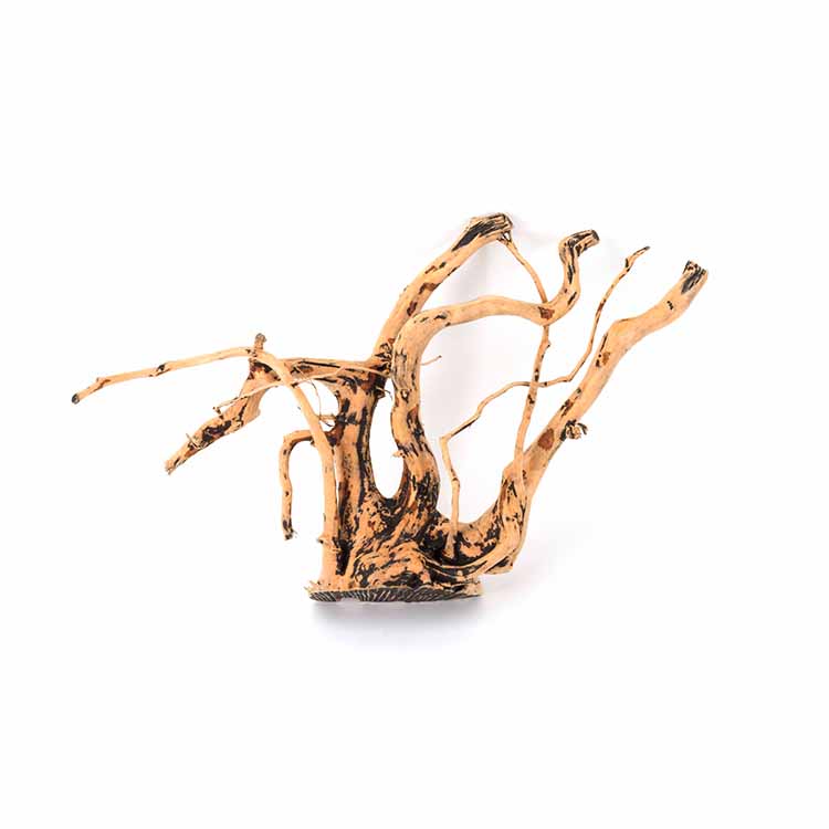 Planted Aquarium For Sale - بيع بالجملة للزينة الطبيعية لحوض السمك،