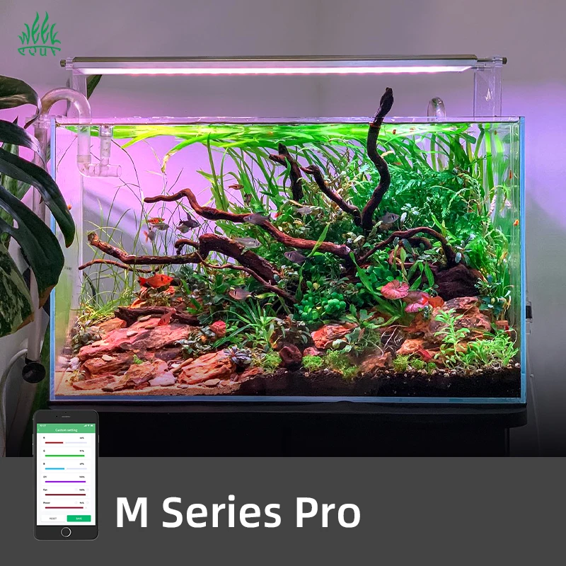 Planted Aquarium For Sale - مصباح حوض السمك الذكي ZXY WEEK