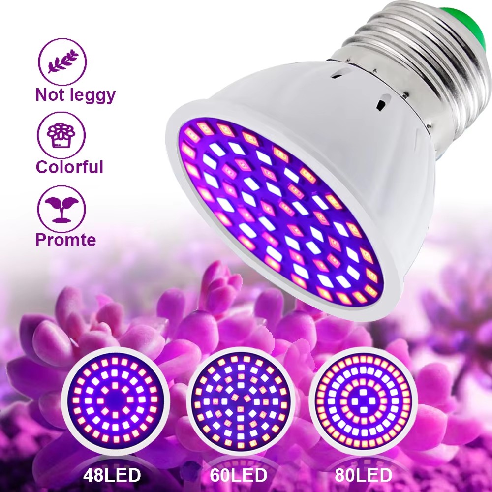 2 قطعة/الوحدة LED تنمو ضوء لمب - مراجعة Aquarium Plant Root Tabs وسعره