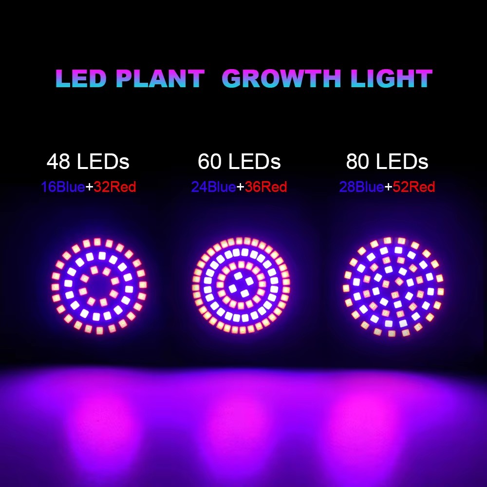 2 قطعة/الوحدة LED تنمو ضوء لمب - مراجعة Aquarium Plant Root Tabs وسعره