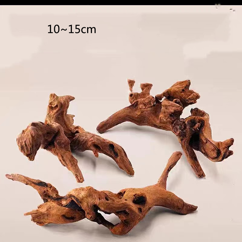 شجرة طبيعية جذع حوض السمك الدي - مراجعة Aquarium Plant Root Tabs وسعره