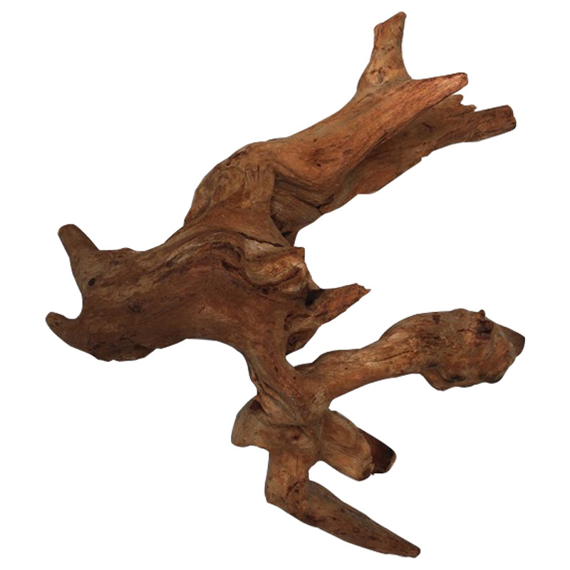 شجرة طبيعية جذع حوض السمك الدي - مراجعة Aquarium Plant Root Tabs وسعره