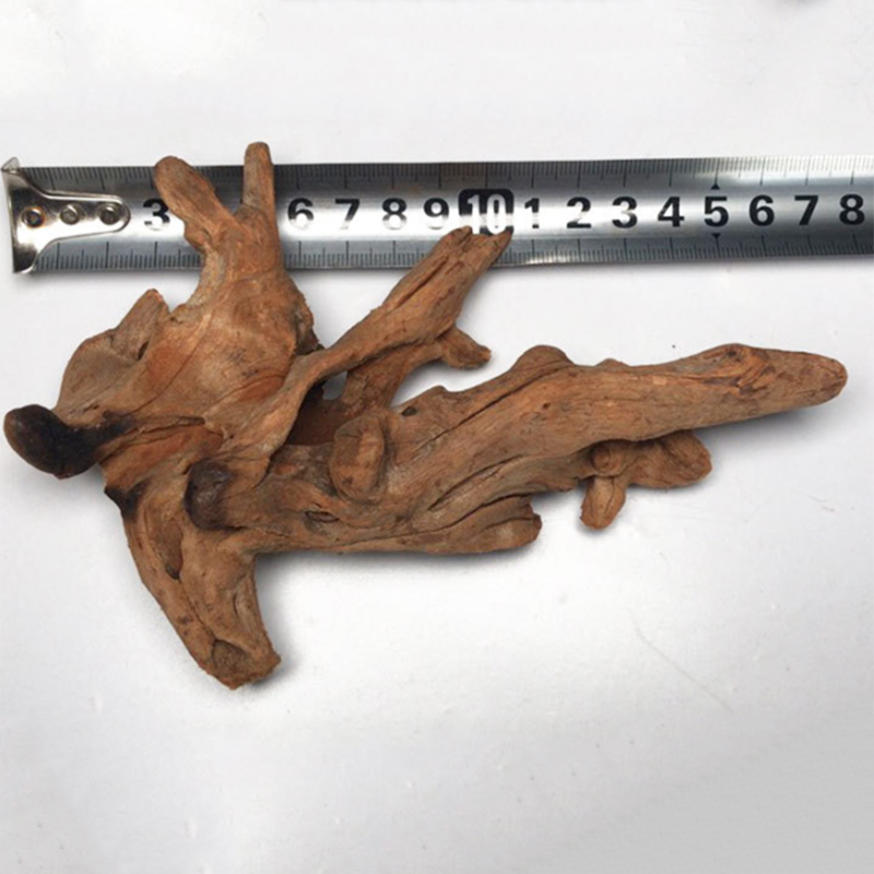 شجرة طبيعية جذع حوض السمك الدي - مراجعة Aquarium Plant Root Tabs وسعره