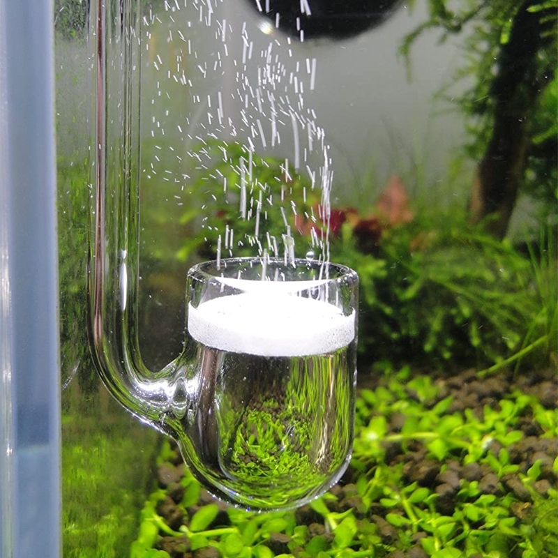 D0AD زجاج ثاني أكسيد الكربون ا - مراجعة Planted Aquarium Co2 وسعره