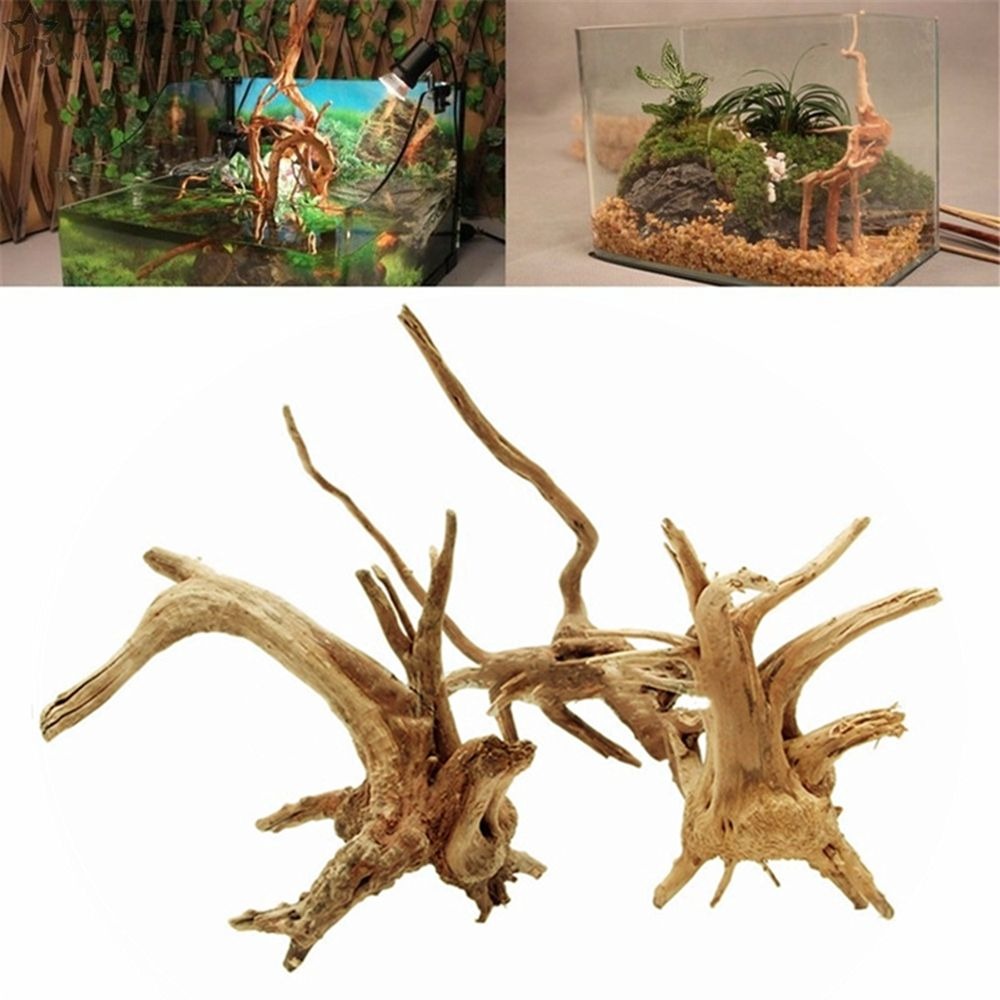 جديد الزينة الخشبية الطبيعية ل - مراجعة Aquarium Plant Root Tabs وسعره