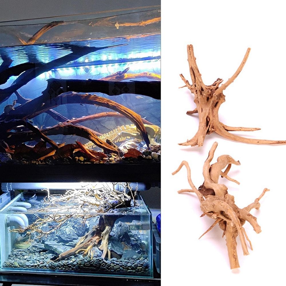 جديد الزينة الخشبية الطبيعية ل - مراجعة Aquarium Plant Root Tabs وسعره