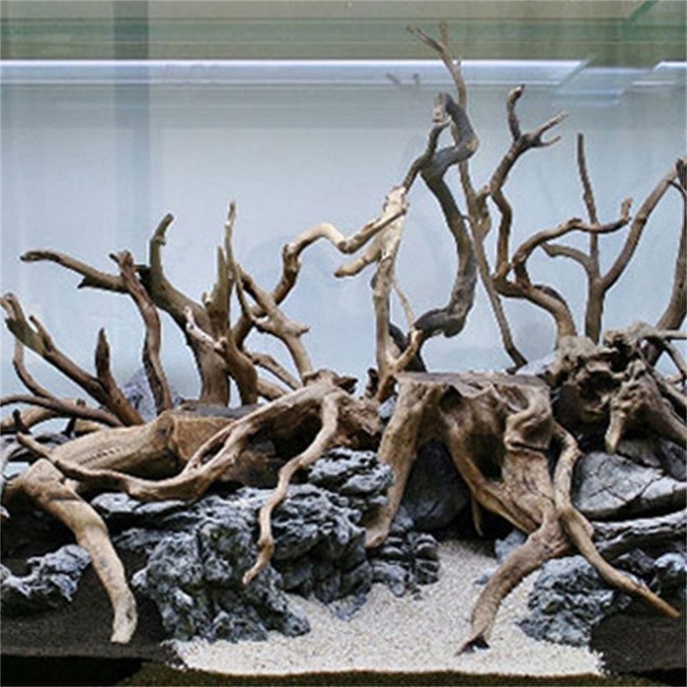 جديد الزينة الخشبية الطبيعية ل - مراجعة Aquarium Plant Root Tabs وسعره