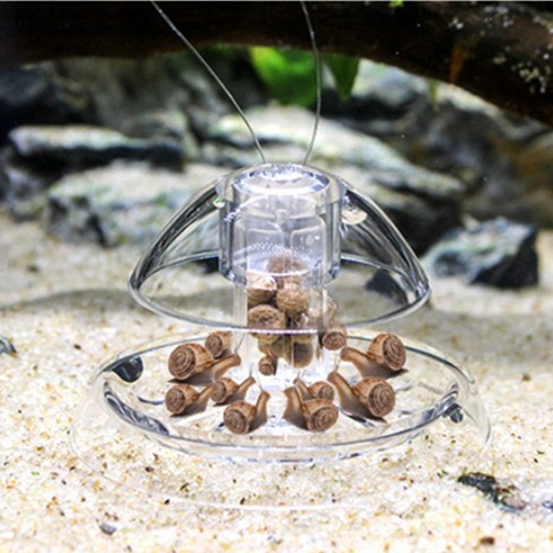 1 قطعة خزان الأسماك حوض السمك  - مراجعة Planted Aquarium Products وسعره