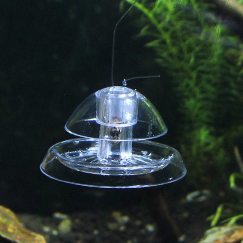 1 قطعة خزان الأسماك حوض السمك  - مراجعة Planted Aquarium Products وسعره