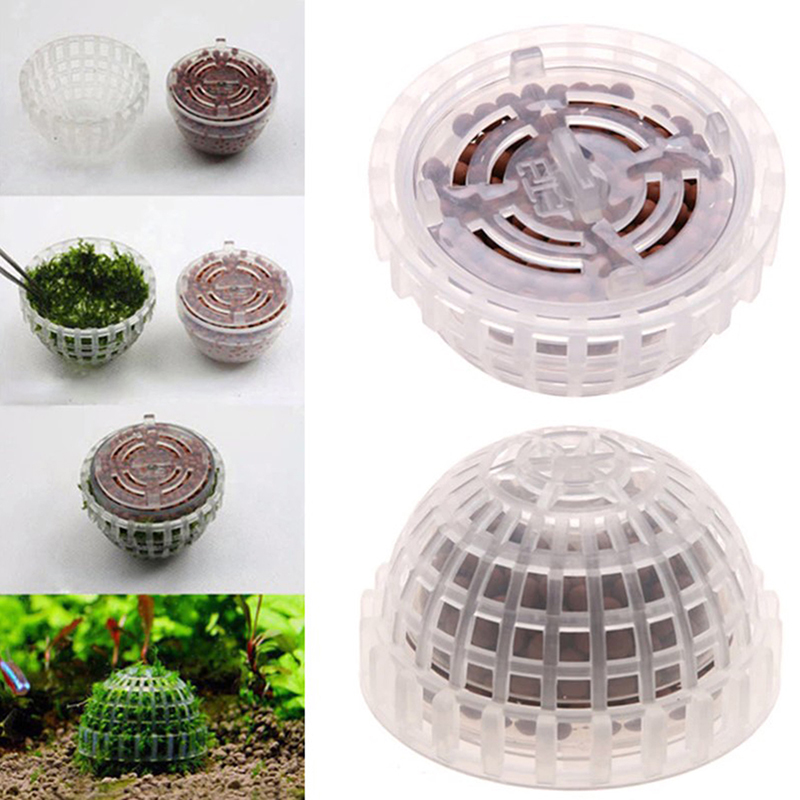 عرض ساخن: مستلزمات الحيوانات ا - مراجعة Planted Aquarium For Sale وسعره