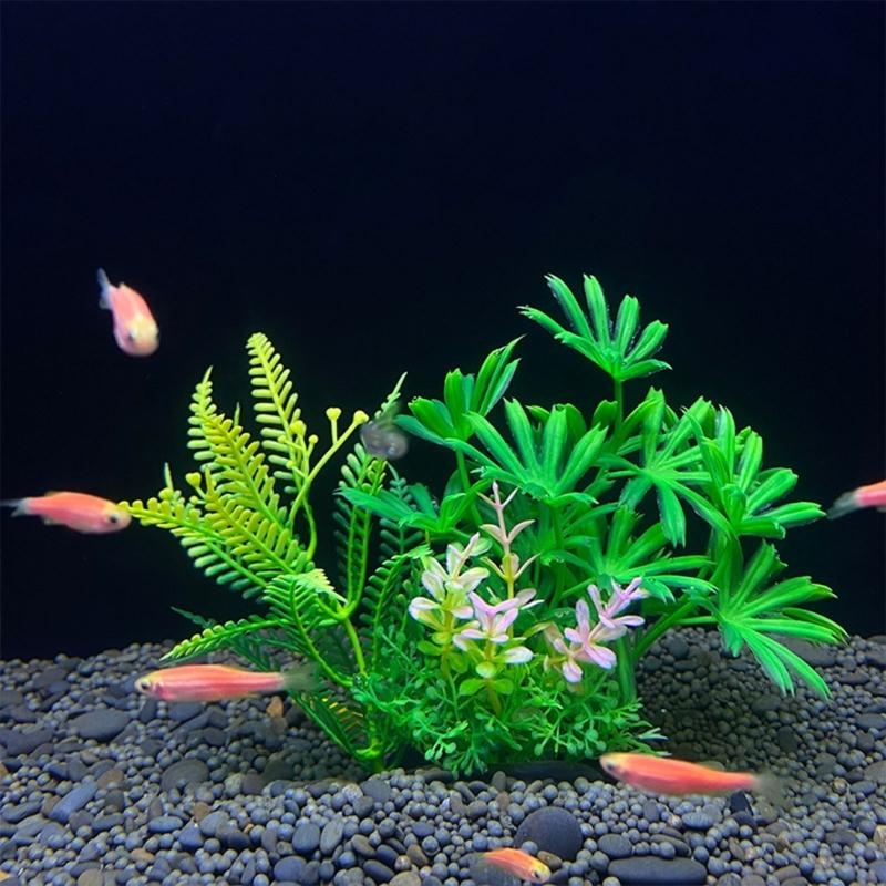 حوض السمك الاصطناعي الديكور نب - مراجعة Planted Aquarium For Sale وسعره