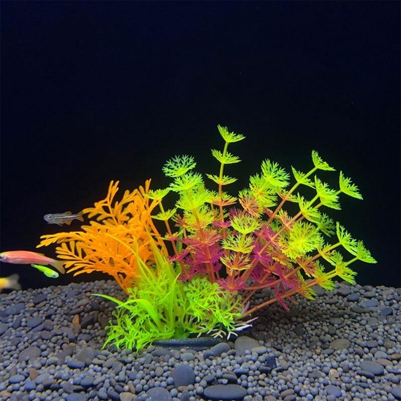 حوض السمك الاصطناعي الديكور نب - مراجعة Planted Aquarium For Sale وسعره