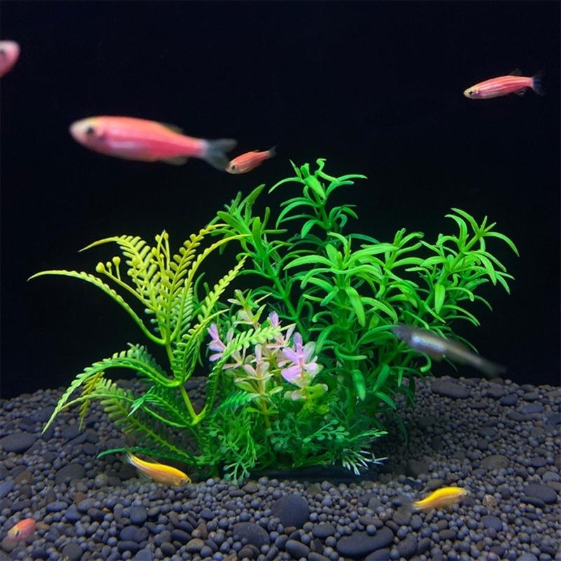 حوض السمك الاصطناعي الديكور نب - مراجعة Planted Aquarium For Sale وسعره