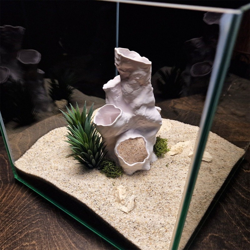 عرض ساخن: نفق مرجاني ثلاثي الأ - مراجعة Planted Aquarium For Sale وسعره