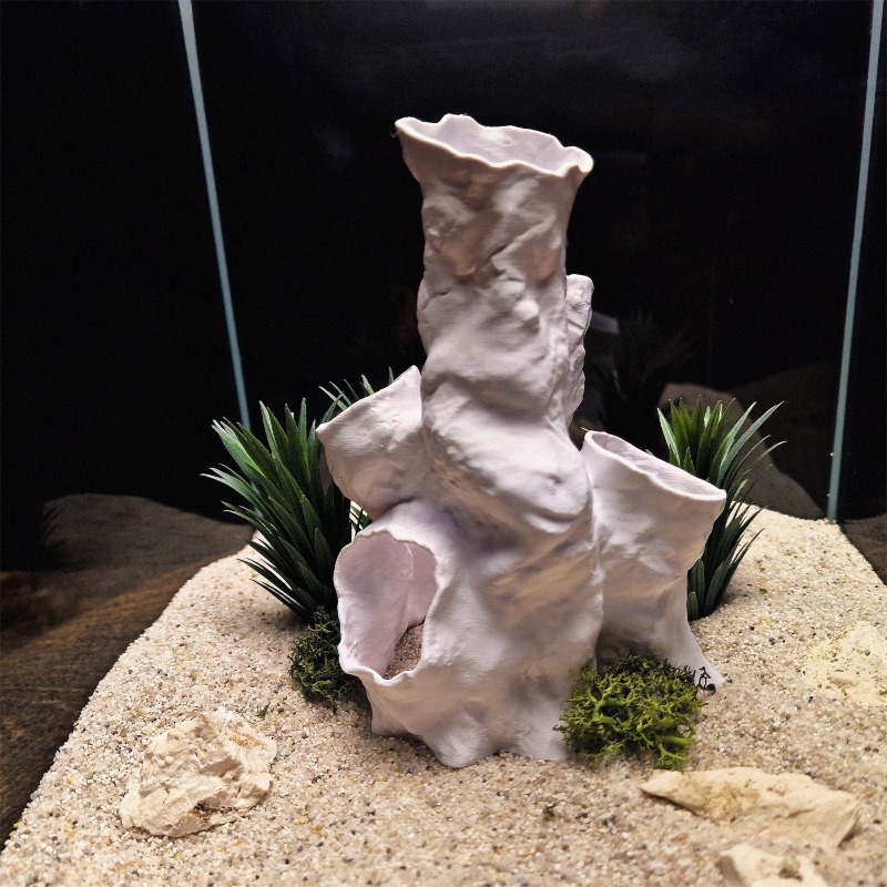 عرض ساخن: نفق مرجاني ثلاثي الأ - مراجعة Planted Aquarium For Sale وسعره