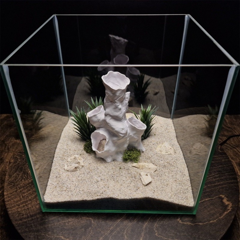 عرض ساخن: نفق مرجاني ثلاثي الأ - مراجعة Planted Aquarium For Sale وسعره