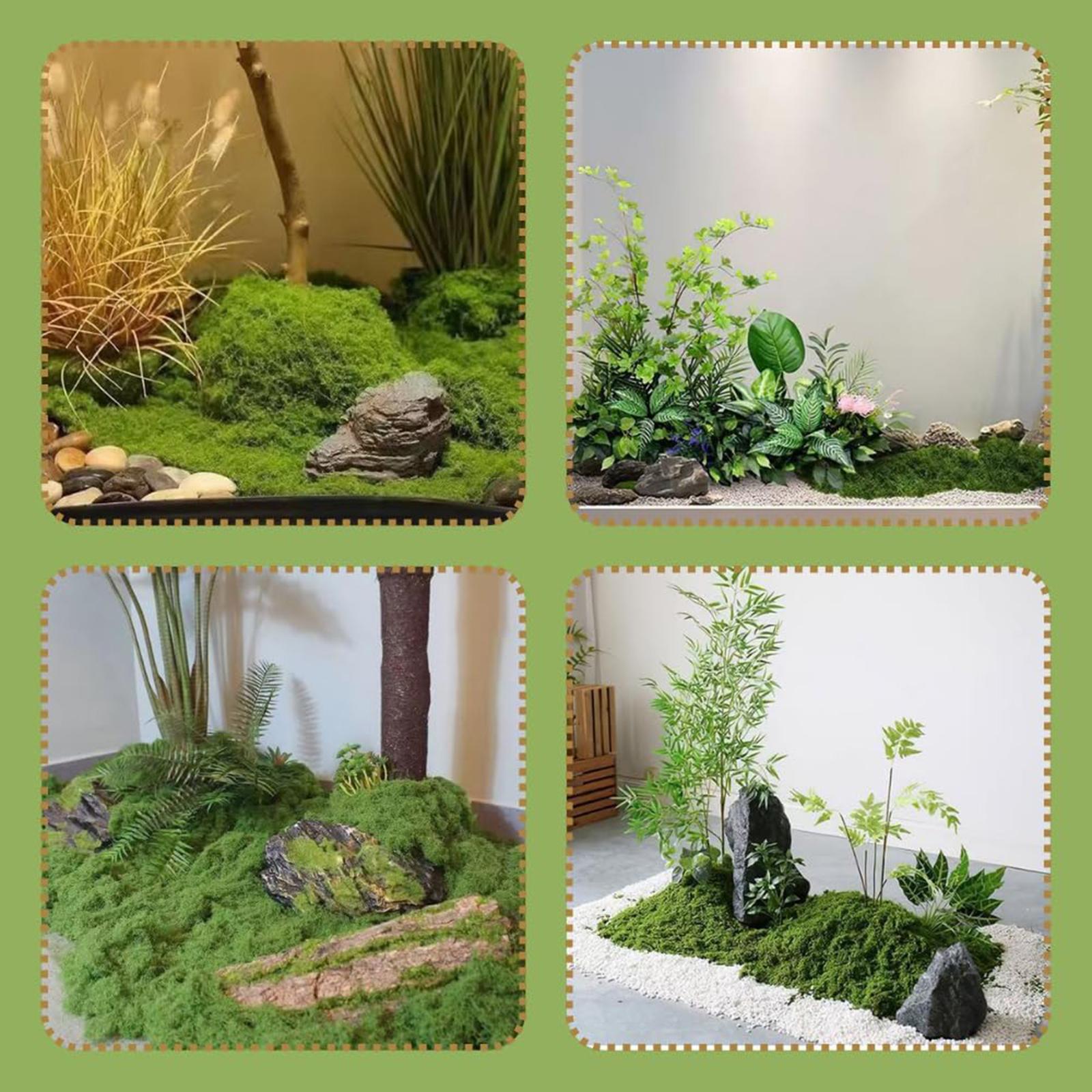 نباتات خضراء اصطناعية، أصص خار - مراجعة Planted Aquarium Products وسعره