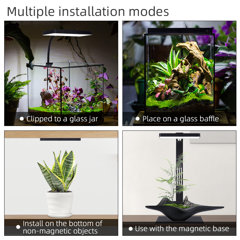 مصباح نانو تيراريوم ميني 9 برو - مراجعة Planted Aquarium For Sale وسعره