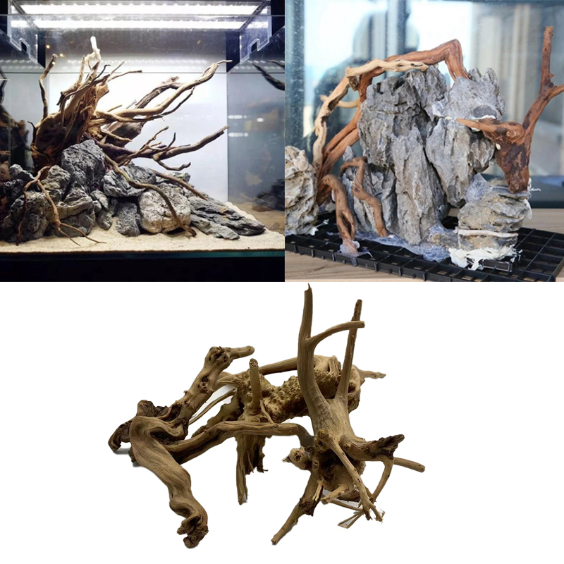 جذع شجرة طبيعية Driftwood حوض  - مراجعة Aquarium Plant Root Tabs وسعره