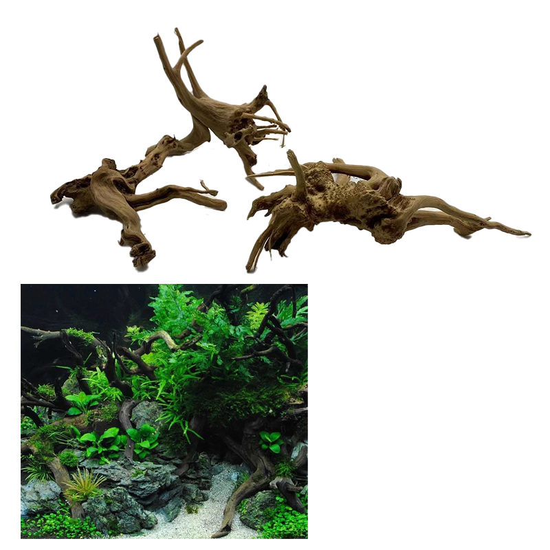 جذع شجرة طبيعية Driftwood حوض  - مراجعة Aquarium Plant Root Tabs وسعره