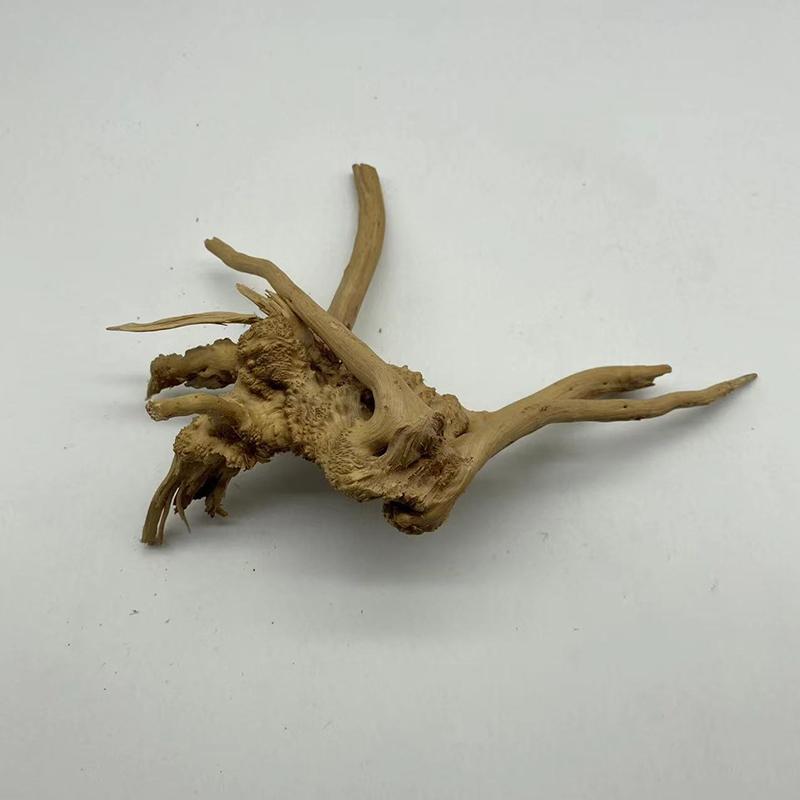 جذع شجرة طبيعية Driftwood حوض  - مراجعة Aquarium Plant Root Tabs وسعره