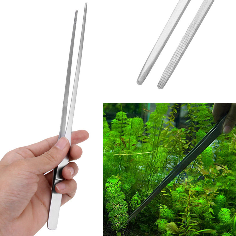 ملقط نباتات مائية مستقيم من ال - مراجعة Planted Aquarium Carpet Plant وسعره