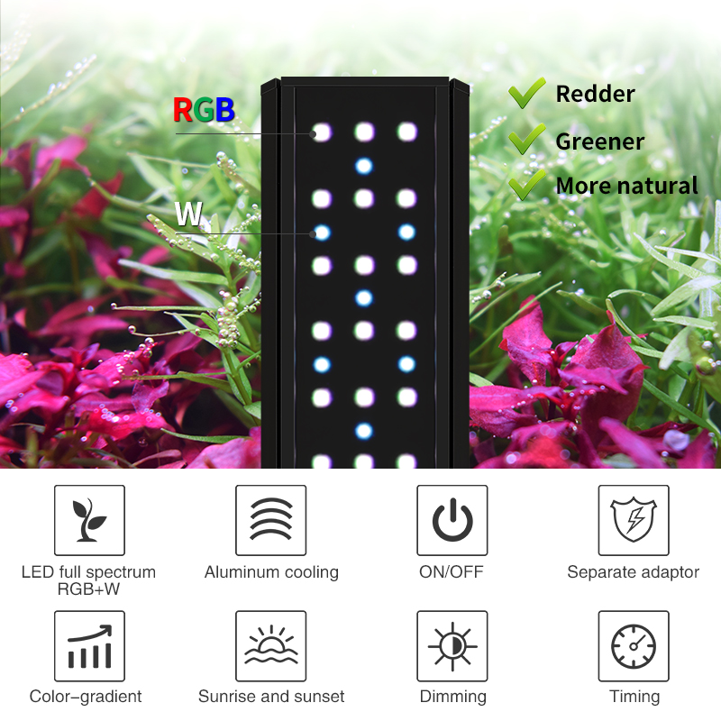 ZXY رائجة البيع WEEKAQUA V400  - مراجعة Planted Aquarium For Sale وسعره