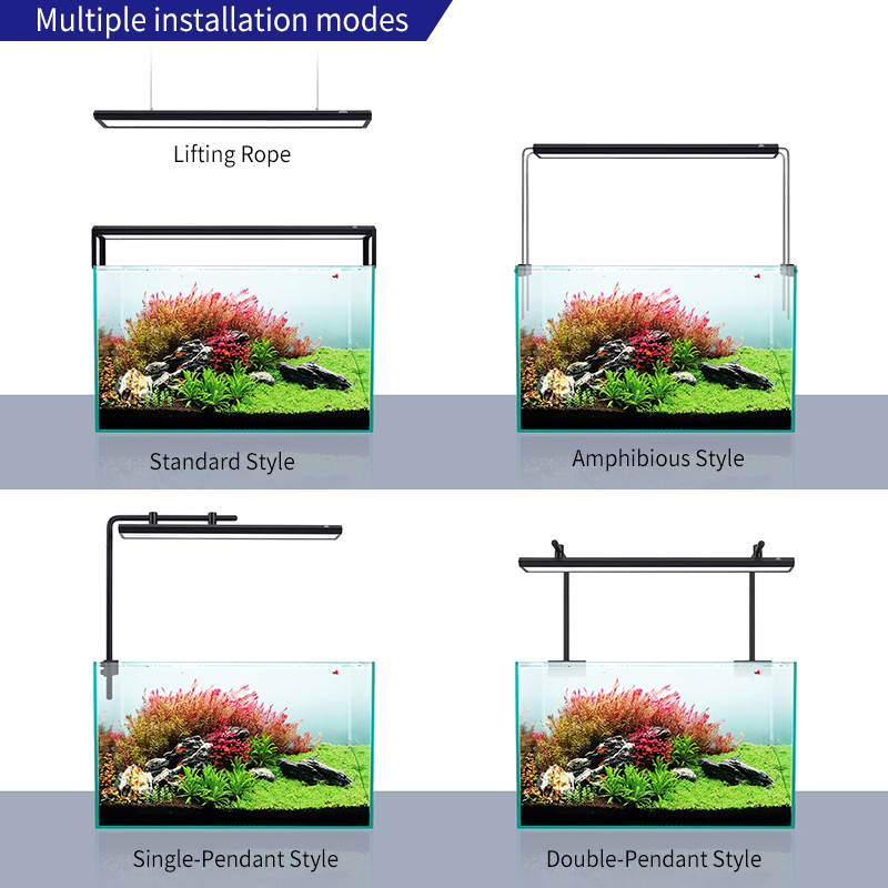 ZXY رائجة البيع WEEKAQUA V400  - مراجعة Planted Aquarium For Sale وسعره