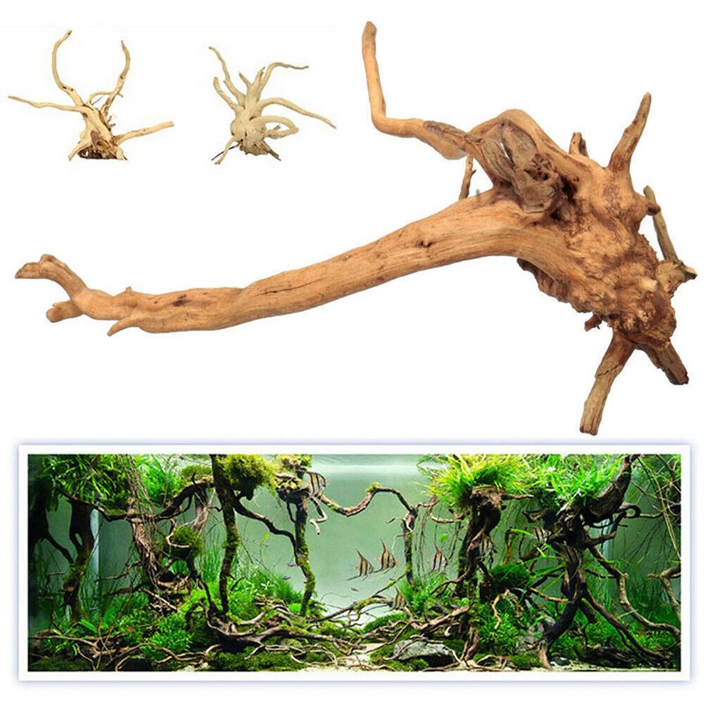 1 قطعة الخشب الطبيعي الجذع Dri - مراجعة Aquarium Plant Root Tabs وسعره