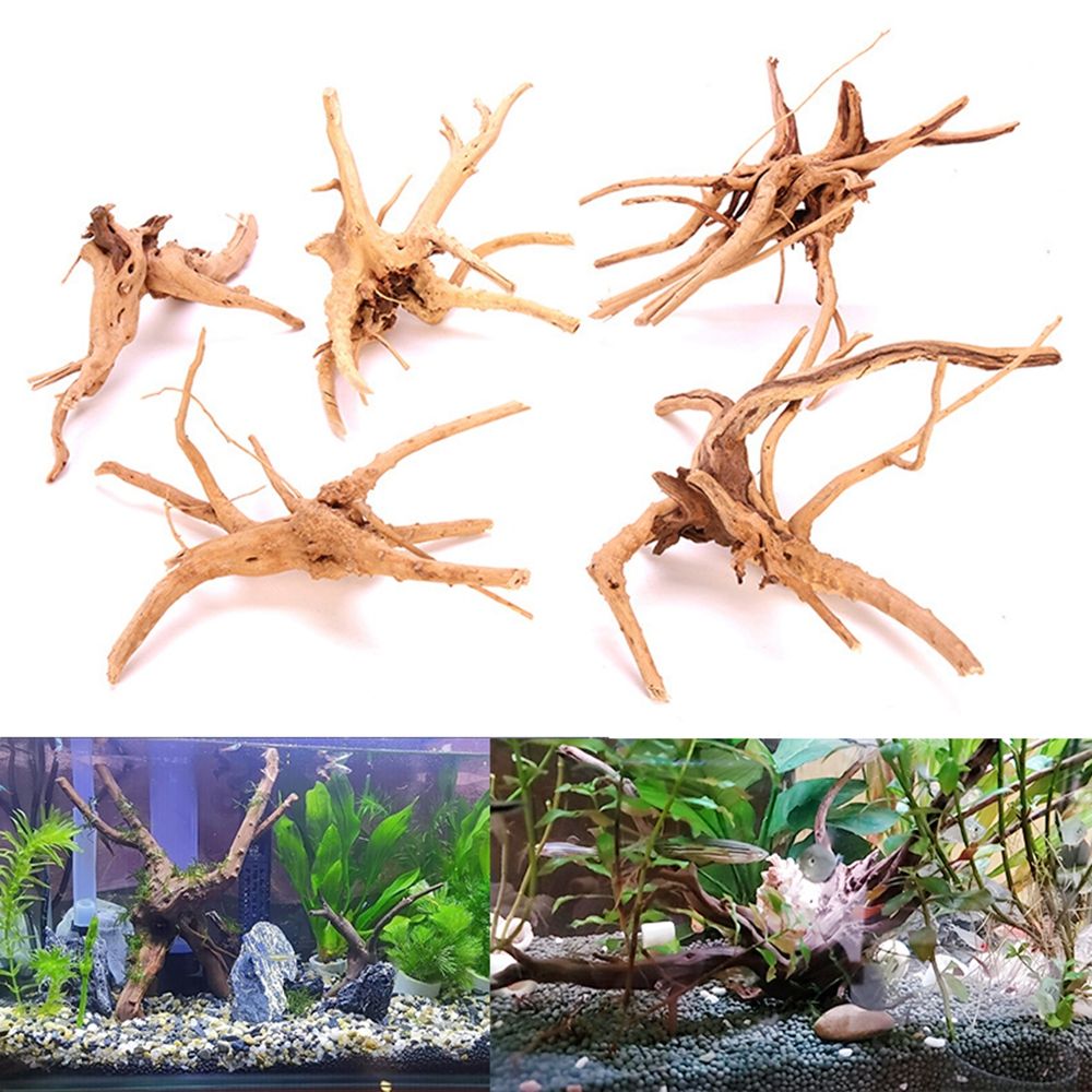 1 قطعة الخشب الطبيعي الجذع Dri - مراجعة Aquarium Plant Root Tabs وسعره