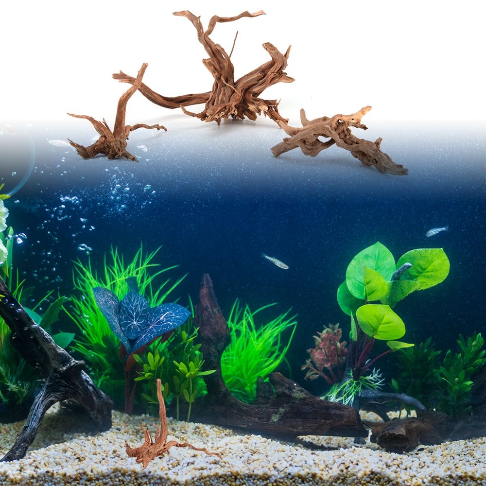 1 قطعة الخشب الطبيعي الجذع Dri - مراجعة Aquarium Plant Root Tabs وسعره