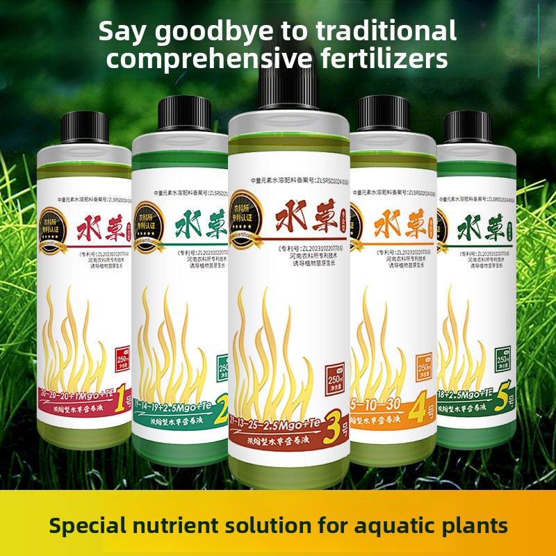 سماد نباتات حوض السمك - تغذية  - مراجعة Planted Aquarium Carpet Plant وسعره
