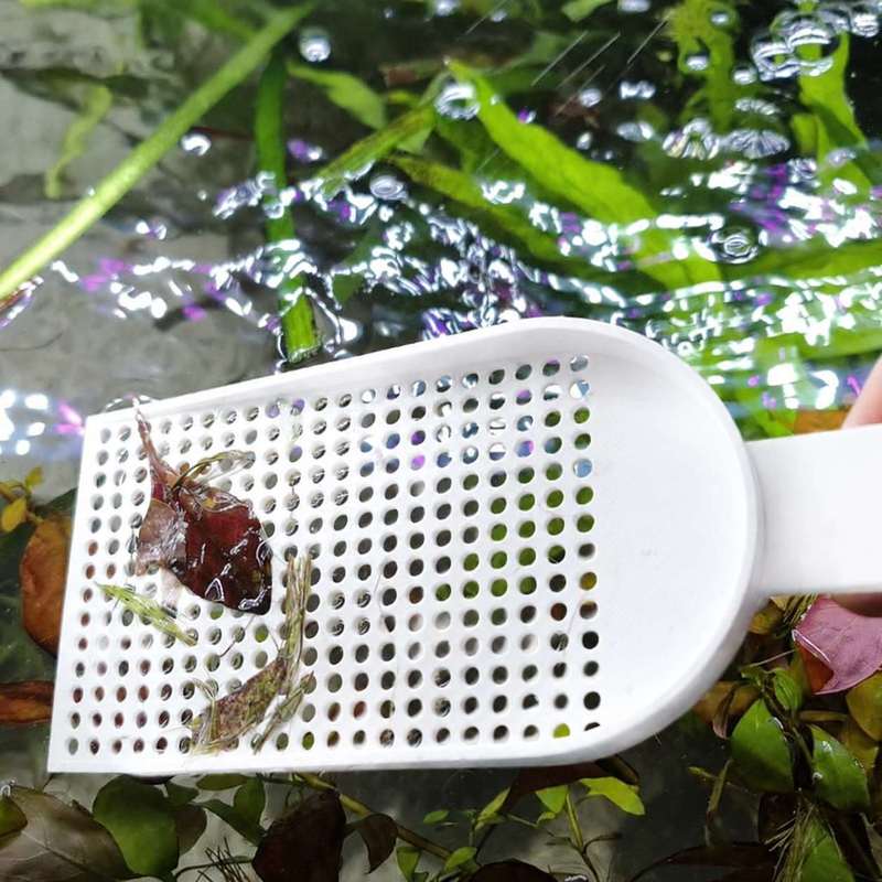 شبكة تنظيف الحطام لحوض السمك ذ - مراجعة Planted Aquarium Products وسعره