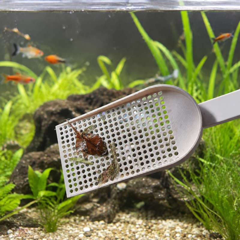 شبكة تنظيف الحطام لحوض السمك ذ - مراجعة Planted Aquarium Products وسعره