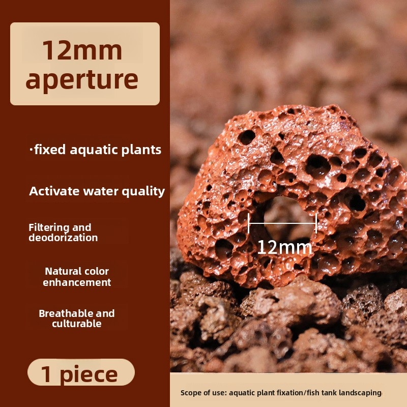 حوض السمك CO2 الناشر خزان الأس - مراجعة Planted Aquarium Co2 وسعره
