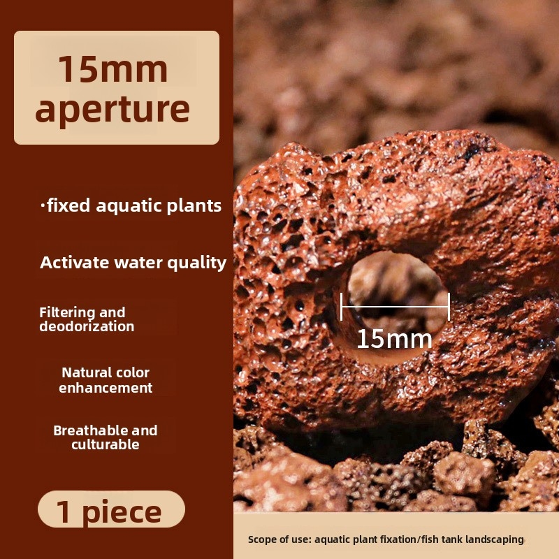 حوض السمك CO2 الناشر خزان الأس - مراجعة Planted Aquarium Co2 وسعره