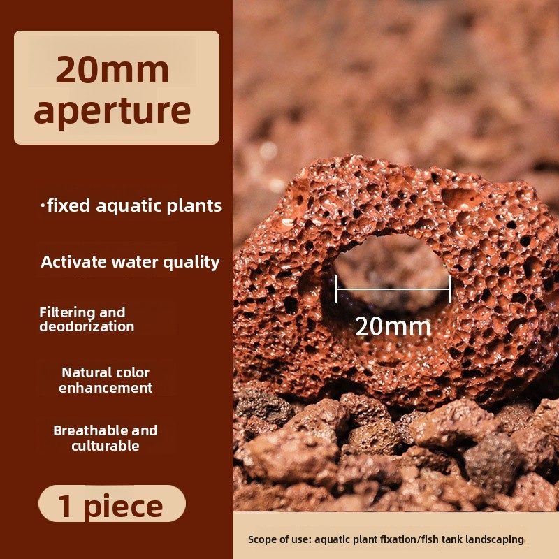 حوض السمك CO2 الناشر خزان الأس - مراجعة Planted Aquarium Co2 وسعره