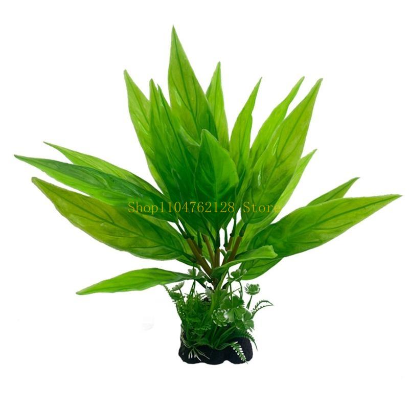 حوض السمك النباتات المائية الب - مراجعة Planted Aquarium For Sale وسعره