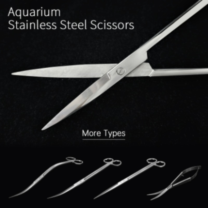 مقصات ويك أكوا المصنوعة من الف - مراجعة Planted Aquarium Products وسعره