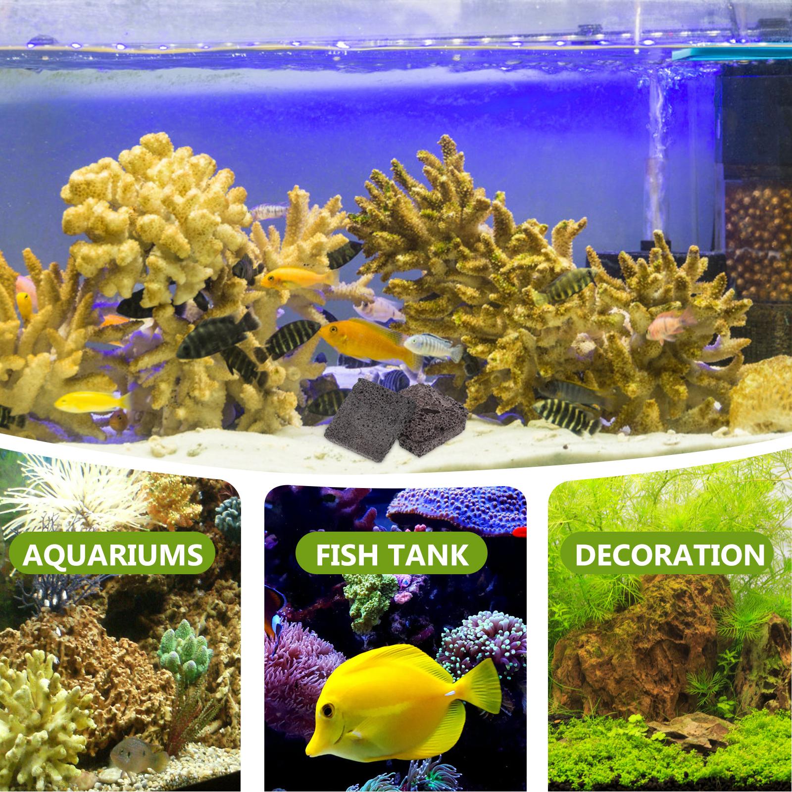   3 قطعة فيلم الزراعة المائية  - مراجعة Aquarium Plant Root Tabs وسعره