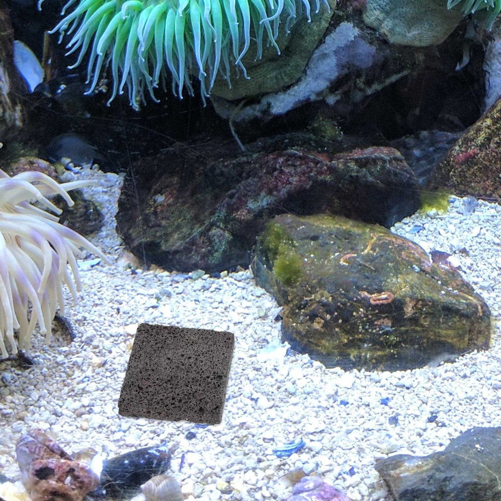   3 قطعة فيلم الزراعة المائية  - مراجعة Aquarium Plant Root Tabs وسعره