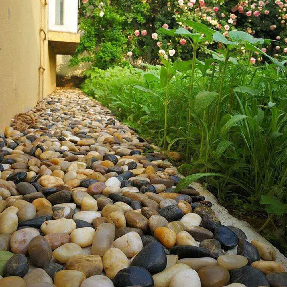 3 عبوات من الحصى الطبيعي المست - مراجعة Planted Aquarium With Gravel وسعره