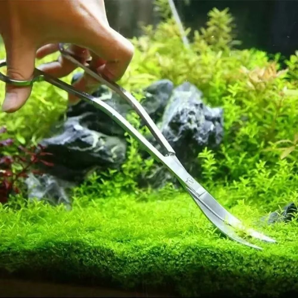 مقص حوض السمك من الفولاذ المقا - مراجعة Planted Aquarium Products وسعره